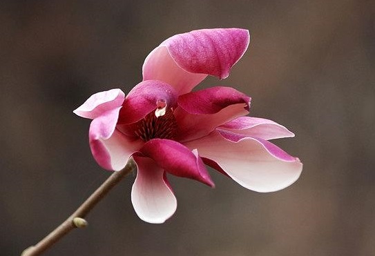 u=2541975026,2572327718&fm=214&gp=0.jpg u=2541975026,2572327718&fm=214&gp=0.jpg