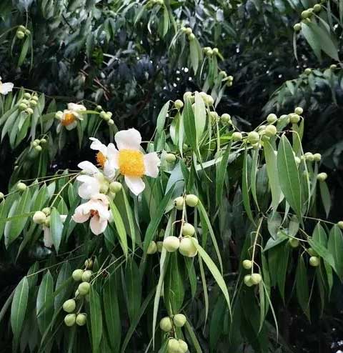 5cd5524f3afeb73bcc71f0974d71d4e.jpg 5cd5524f3afeb73bcc71f0974d71d4e.jpg